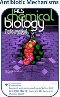 Antibiotic Mechanisms