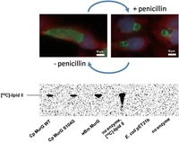 Henrichfreise research 4.jpg